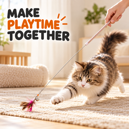 Cat chasing the feather lure during interactive play