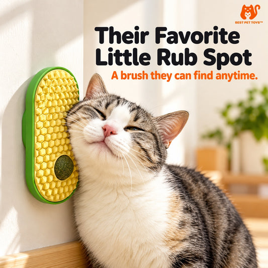 Cat rubbing face on yellow wall-mounted grooming brush