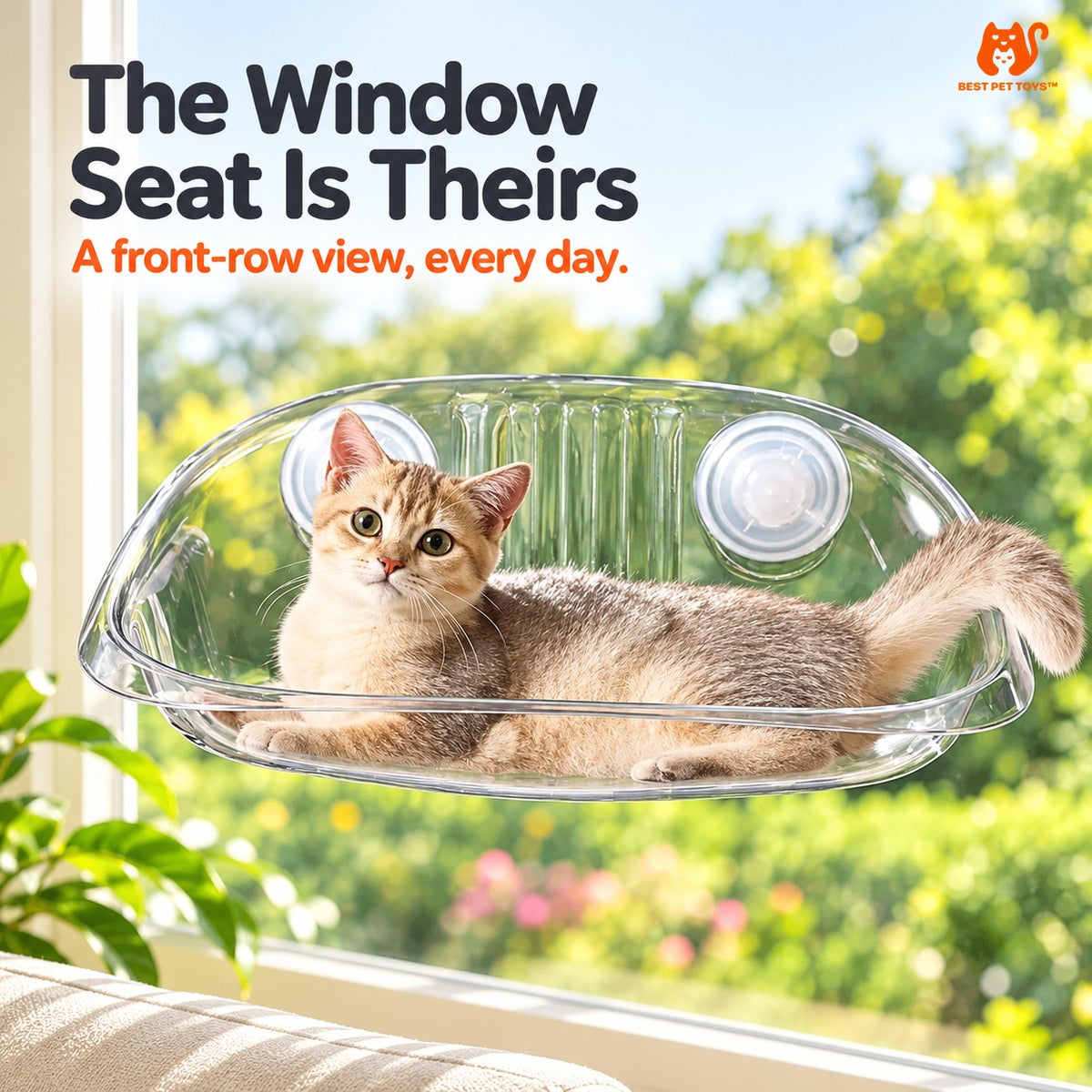 Cat reclining in transparent Gray suction cup window bed
