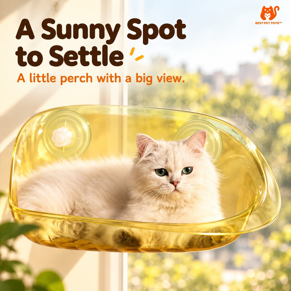 Cat resting in transparent Yellow window bed