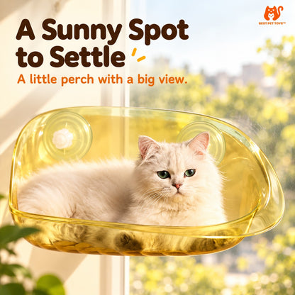 Cat resting in transparent Yellow window bed