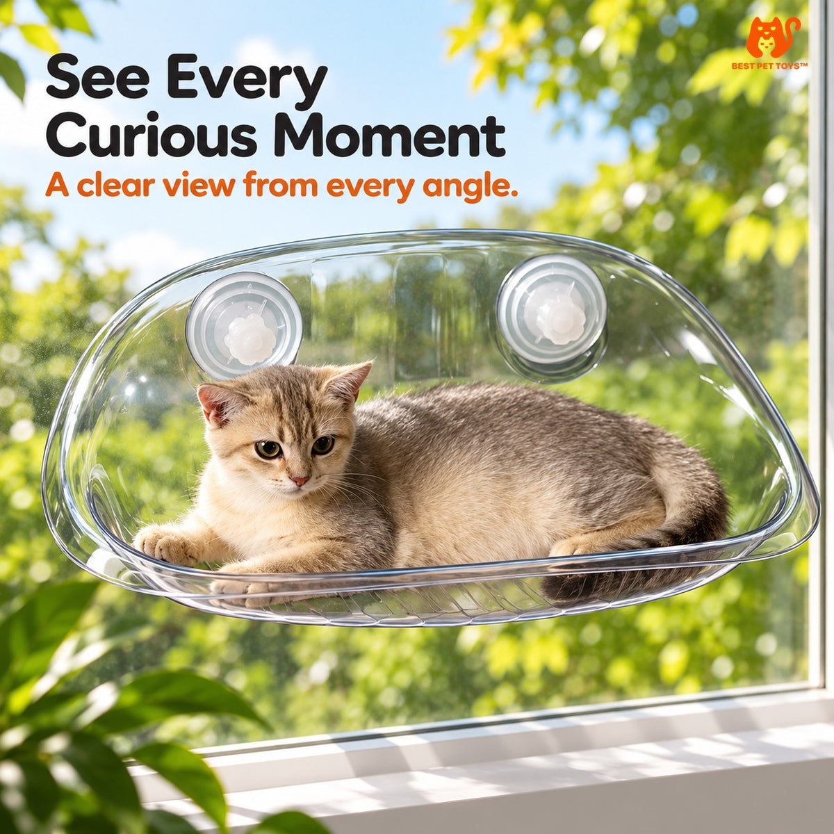 Gray clear plastic cat window perch showing cat through shell