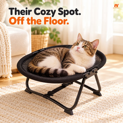 Cat lounging in black mesh foldable elevated pet bed