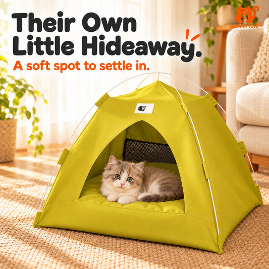 Green foldable pet tent bed with kitten resting inside