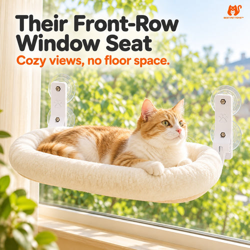 Off White foldable window perch with cat