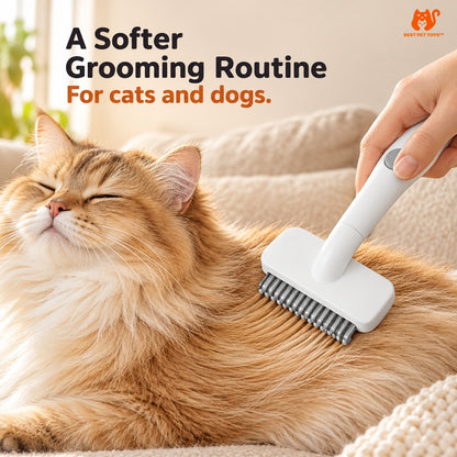 White fur knot comb grooming a cat