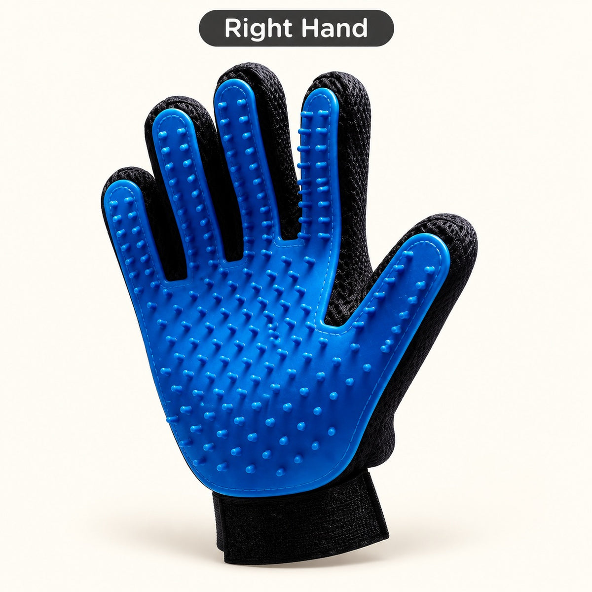 Right Hand blue grooming glove variant