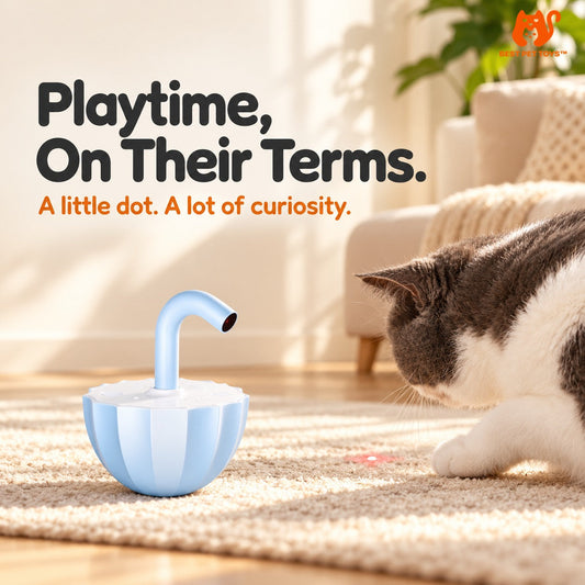 Blue laser cat toy with curious cat
