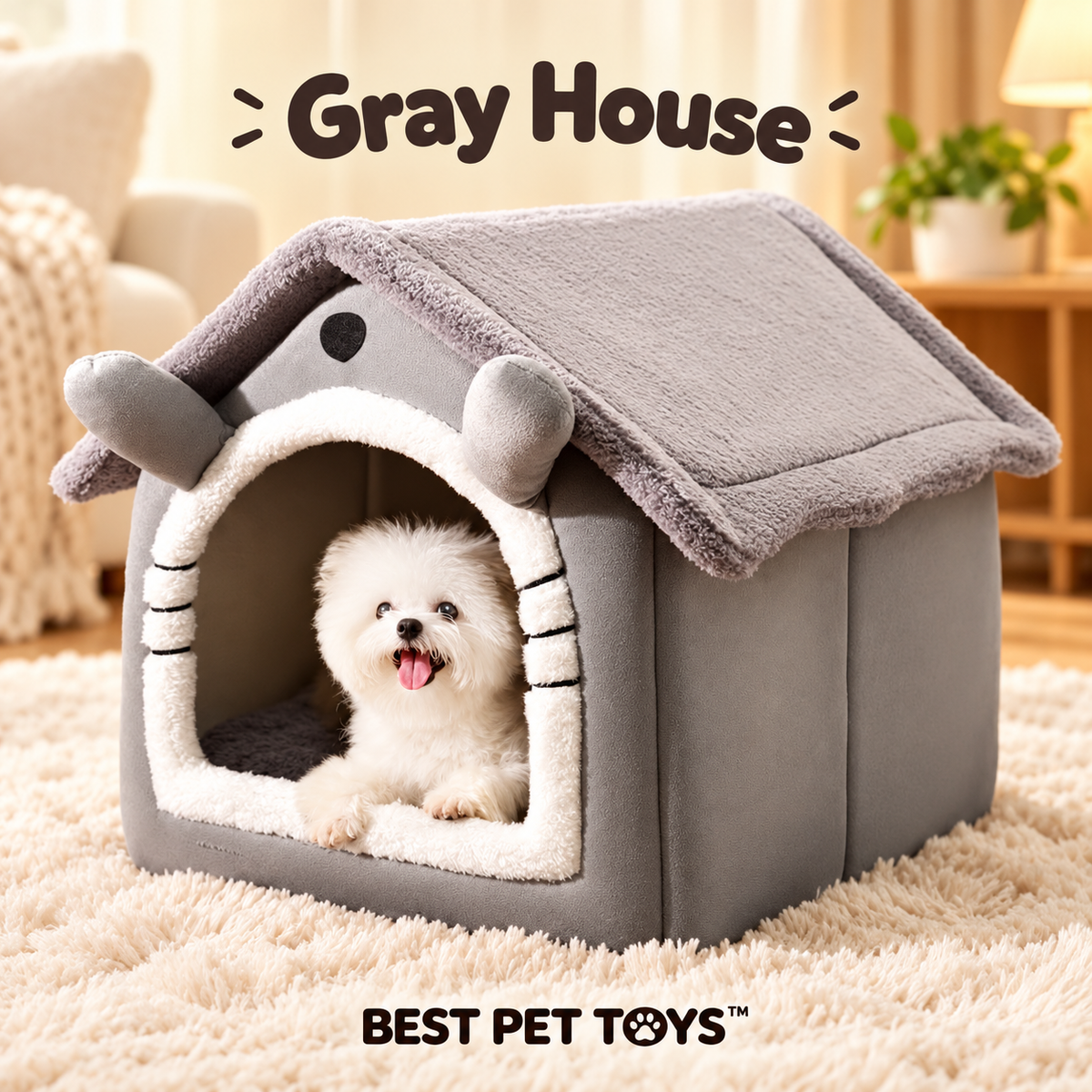 Gray House design