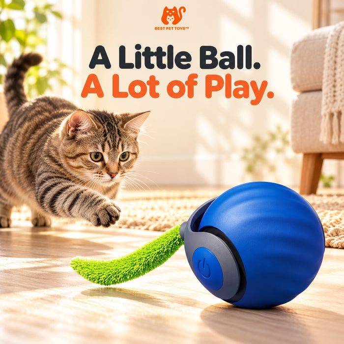 Blue interactive cat toy ball with green tail and cat ready to chase