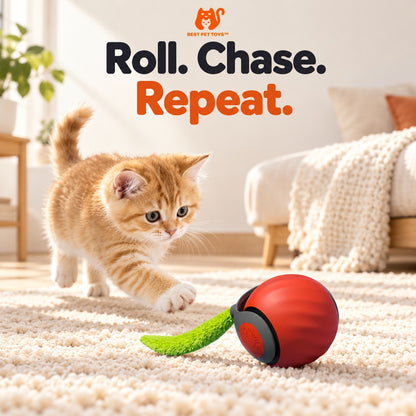 Red interactive cat toy ball with green tail and cat ready to play
