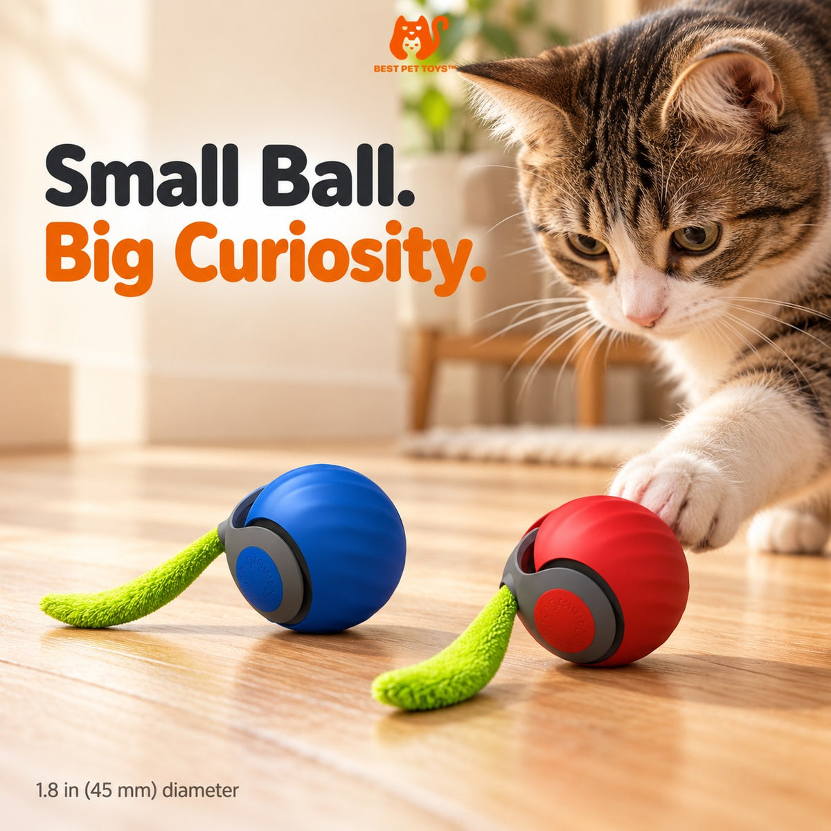Blue and red toy balls shown beside cat for size, 1.8 inches in diameter