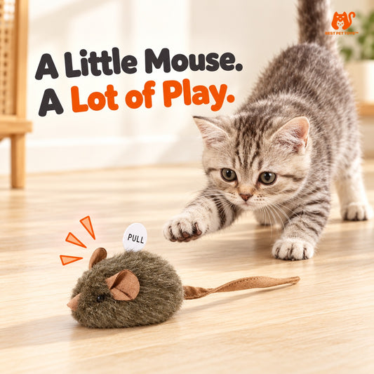 One squeaky plush mouse cat toy with cat reaching toward it