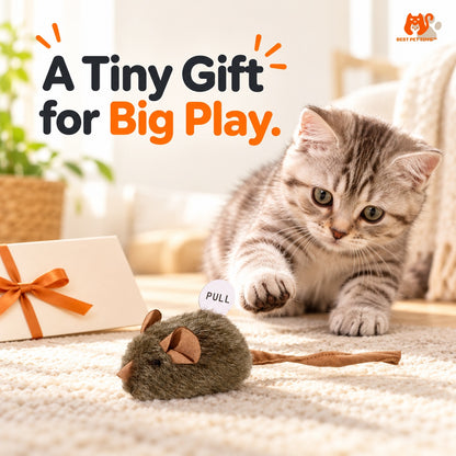 One mouse cat toy presented as a small gift for cat play