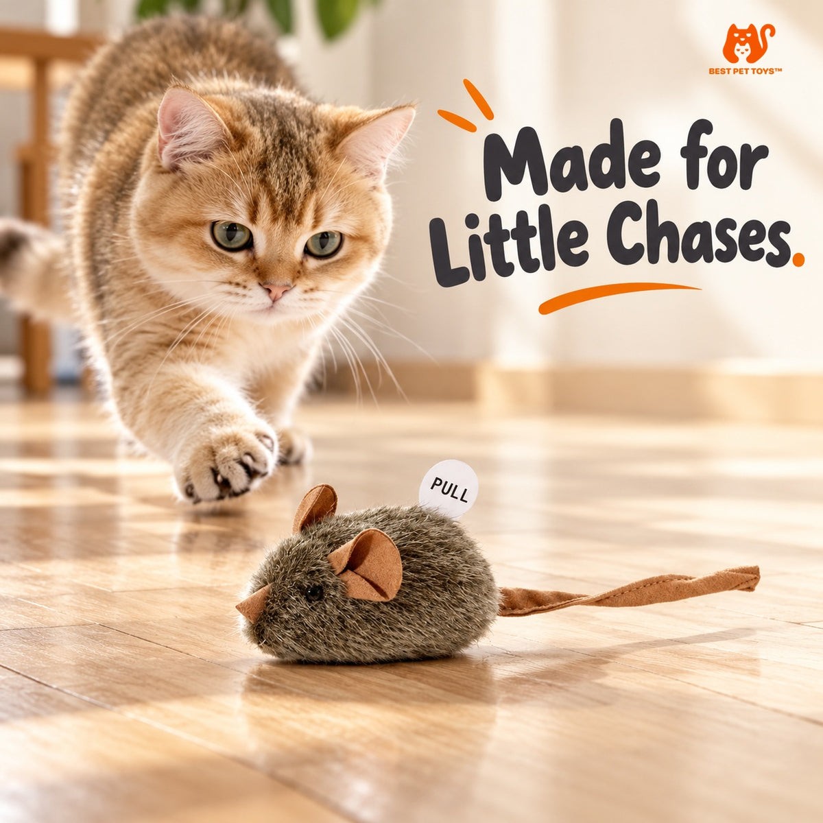 Cat following one squeaky plush mouse toy indoors