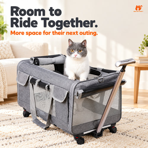 Gray XL pet trolley carrier with cat at top opening