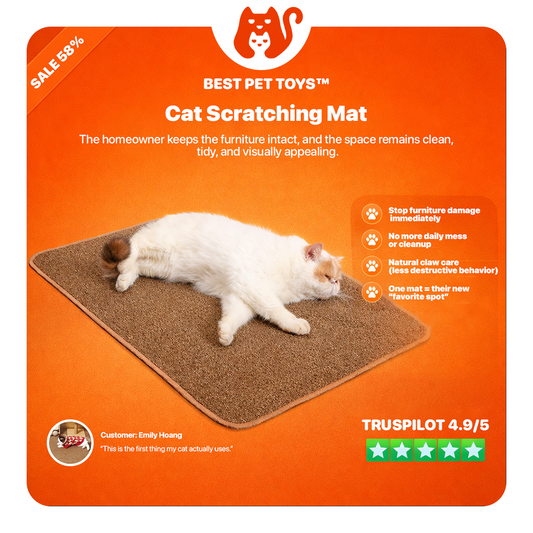 Best Pet Toys™ Cat Scratching Mat