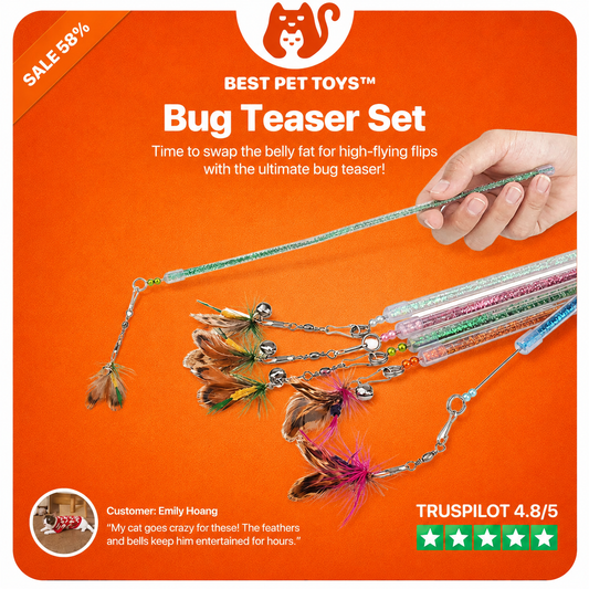Best Pet Toys™ Bug Teaser Set