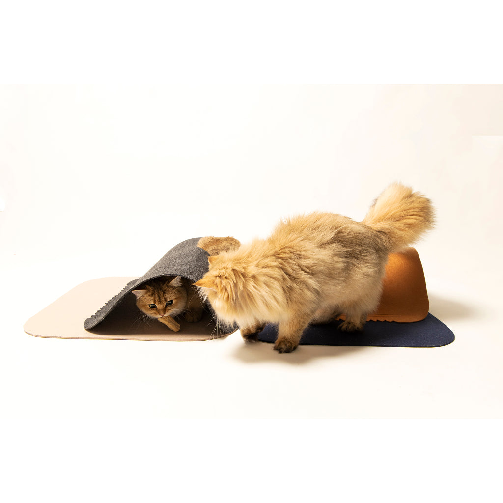 Interactive Hide-and-Seek Cat Tunnel Mat